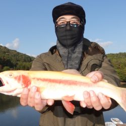 フィッシングレイクたかみや 釣果