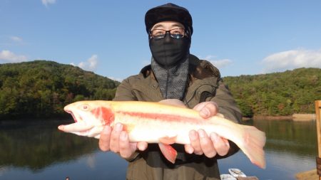 フィッシングレイクたかみや 釣果