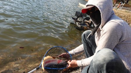 フィッシングレイクたかみや 釣果