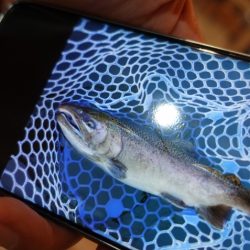 フィッシングレイクたかみや 釣果