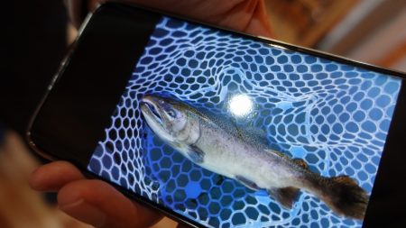 フィッシングレイクたかみや 釣果