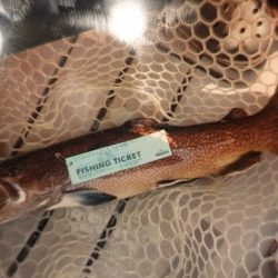 フィッシングレイクたかみや 釣果