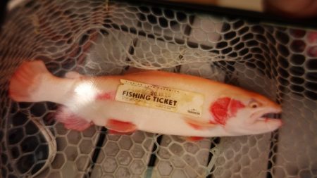 フィッシングレイクたかみや 釣果