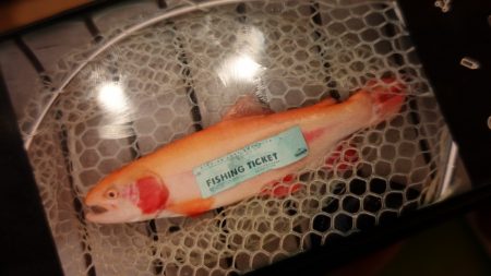 フィッシングレイクたかみや 釣果