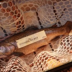 フィッシングレイクたかみや 釣果