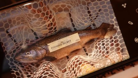 フィッシングレイクたかみや 釣果