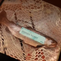 フィッシングレイクたかみや 釣果