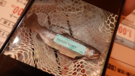 フィッシングレイクたかみや 釣果