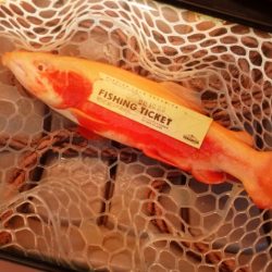 フィッシングレイクたかみや 釣果