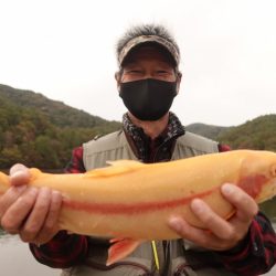 フィッシングレイクたかみや 釣果