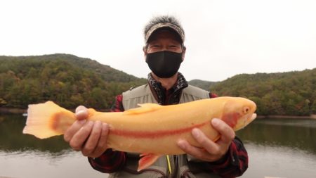 フィッシングレイクたかみや 釣果