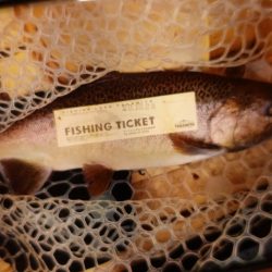 フィッシングレイクたかみや 釣果