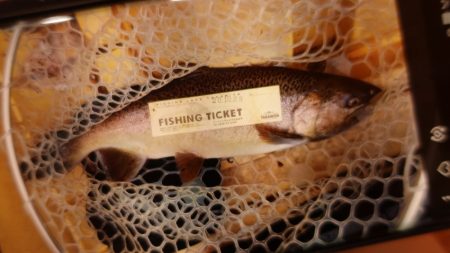 フィッシングレイクたかみや 釣果