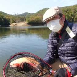 フィッシングレイクたかみや 釣果