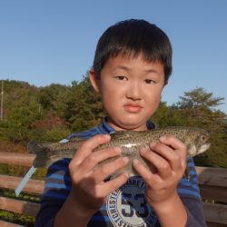 フィッシングレイクたかみや 釣果