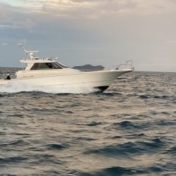 フィッシングボートACE（エース） 釣果