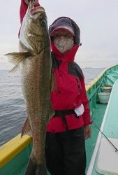 KONAYAーMARU(こなや丸) 釣果