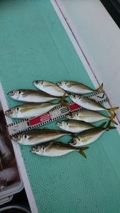 ＫＯＮＡＹＡｰＭＡＲＵ（こなや丸） 釣果