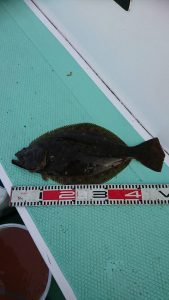 KONAYAーMARU(こなや丸) 釣果