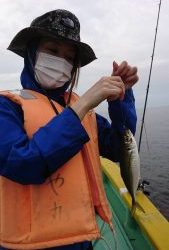 KONAYAーMARU(こなや丸) 釣果