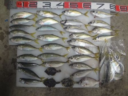 のとじま臨海公園海づりセンター 釣果