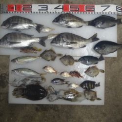 のとじま臨海公園海づりセンター 釣果