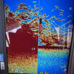 KONAYAーMARU(こなや丸) 釣果