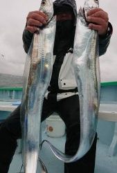 KONAYAーMARU(こなや丸) 釣果