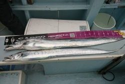 KONAYAーMARU(こなや丸) 釣果