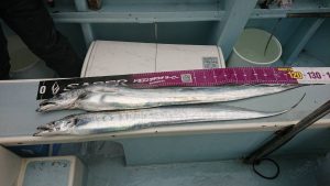 KONAYAーMARU(こなや丸) 釣果