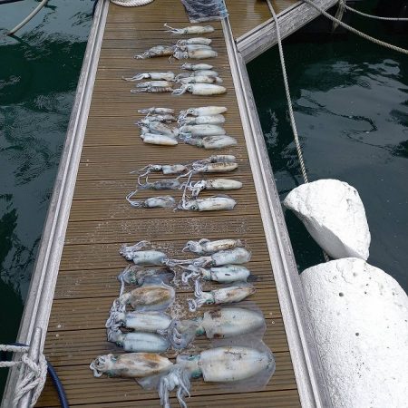 フィッシングボートACE(エース) 釣果