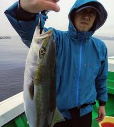 恵比寿丸(兵庫) 釣果