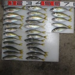 のとじま臨海公園海づりセンター 釣果