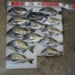 のとじま臨海公園海づりセンター 釣果