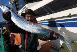 KONAYAーMARU(こなや丸) 釣果