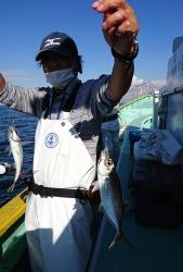 KONAYAーMARU(こなや丸) 釣果