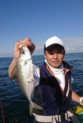 KONAYAーMARU(こなや丸) 釣果