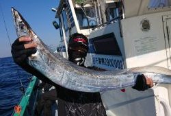 KONAYAーMARU(こなや丸) 釣果