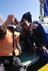 KONAYAーMARU(こなや丸) 釣果