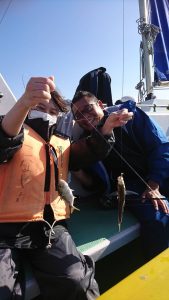 KONAYAーMARU(こなや丸) 釣果