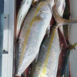 第五慶門丸 釣果