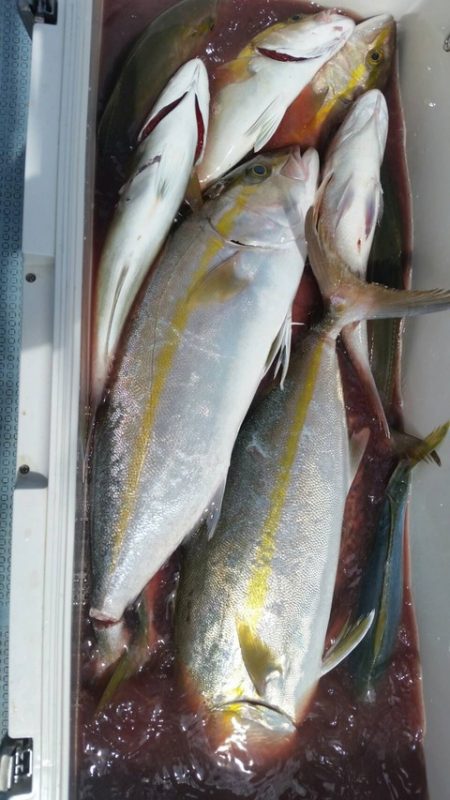 第五慶門丸 釣果