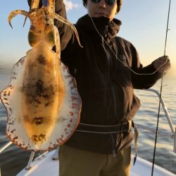 Magic（マジック） 釣果