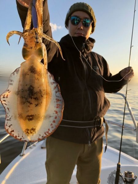 Magic（マジック） 釣果