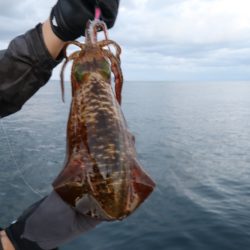 まるいち丸 ZERO-1 釣果