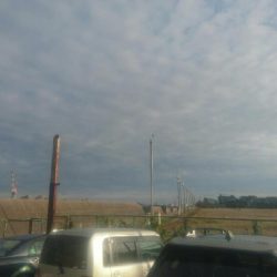 鉄板バイブでタコ