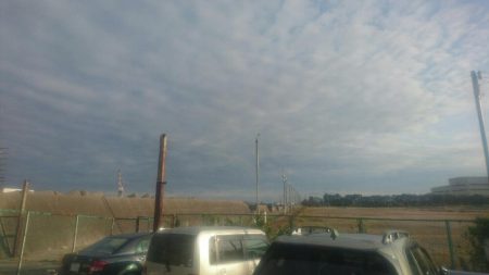 鉄板バイブでタコ