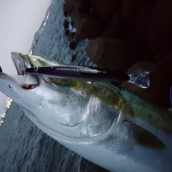 朝一ワンチャン狙い