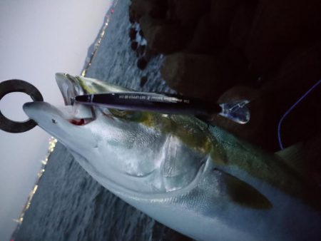 朝一ワンチャン狙い