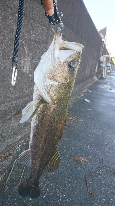 自己ベスト更新